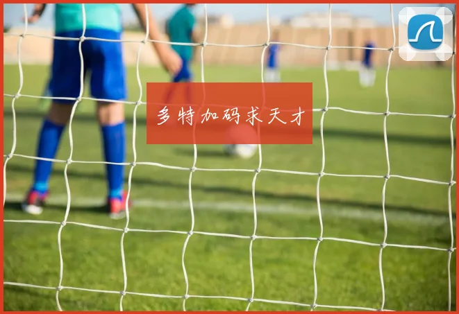 多特加码求天才